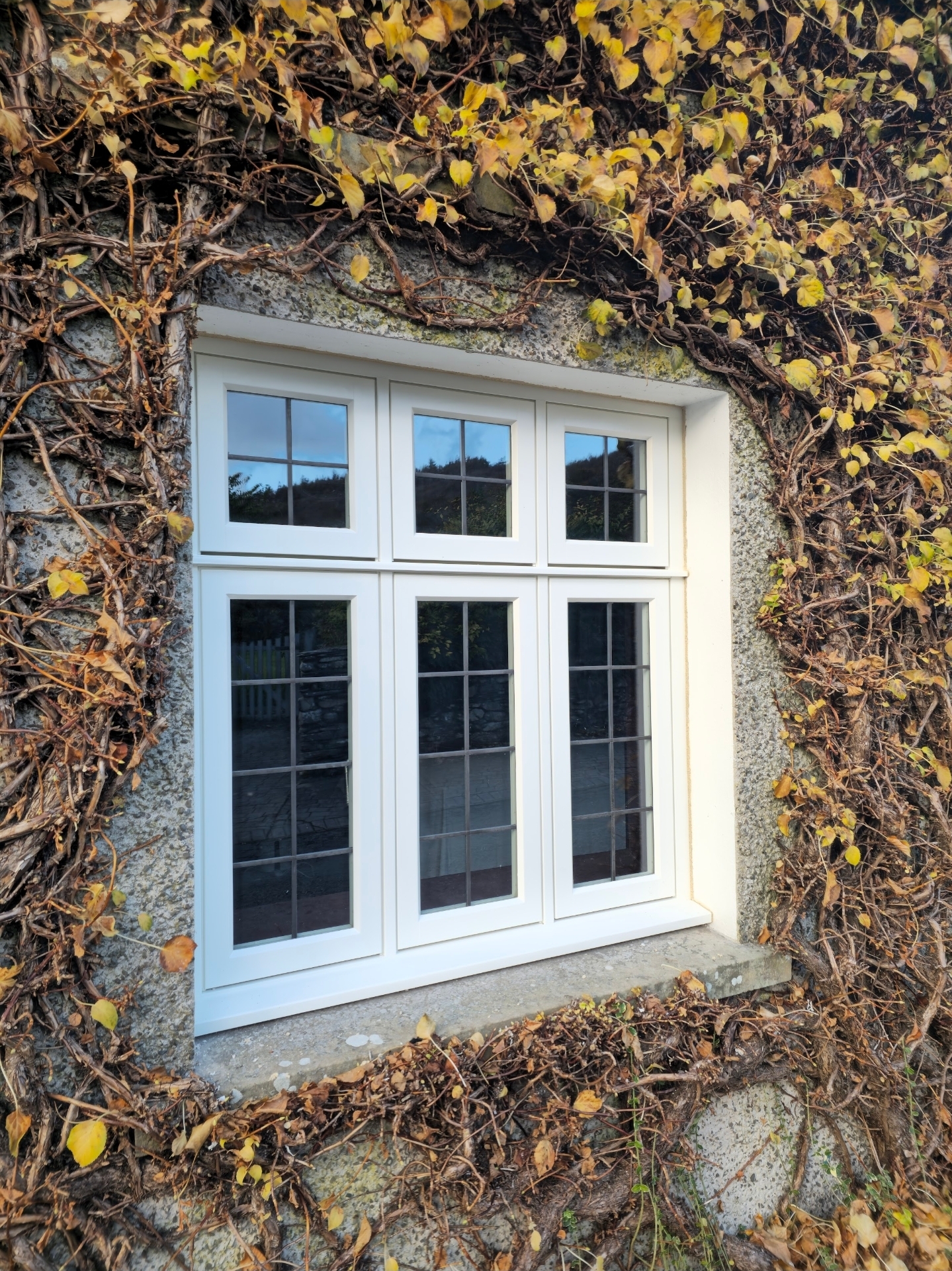 windows